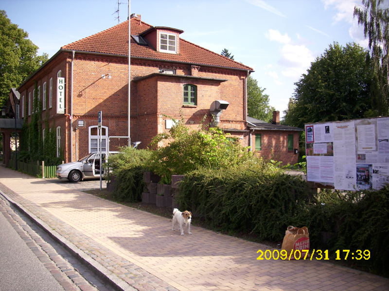 DSCI0376